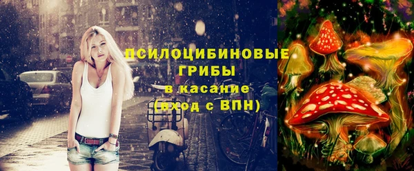 метадон Белокуриха