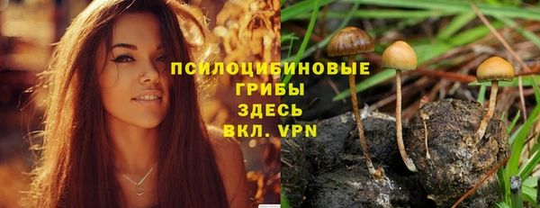 метадон Белокуриха
